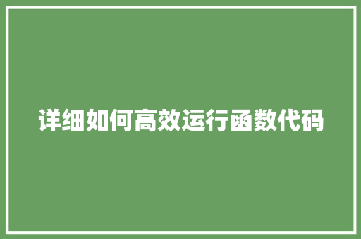 详细如何高效运行函数代码 详细如何高效运行函数代码