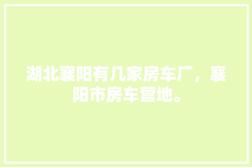 代码与数值数字世界的奥秘