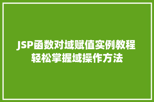 JSP函数对域赋值实例教程轻松掌握域操作方法
